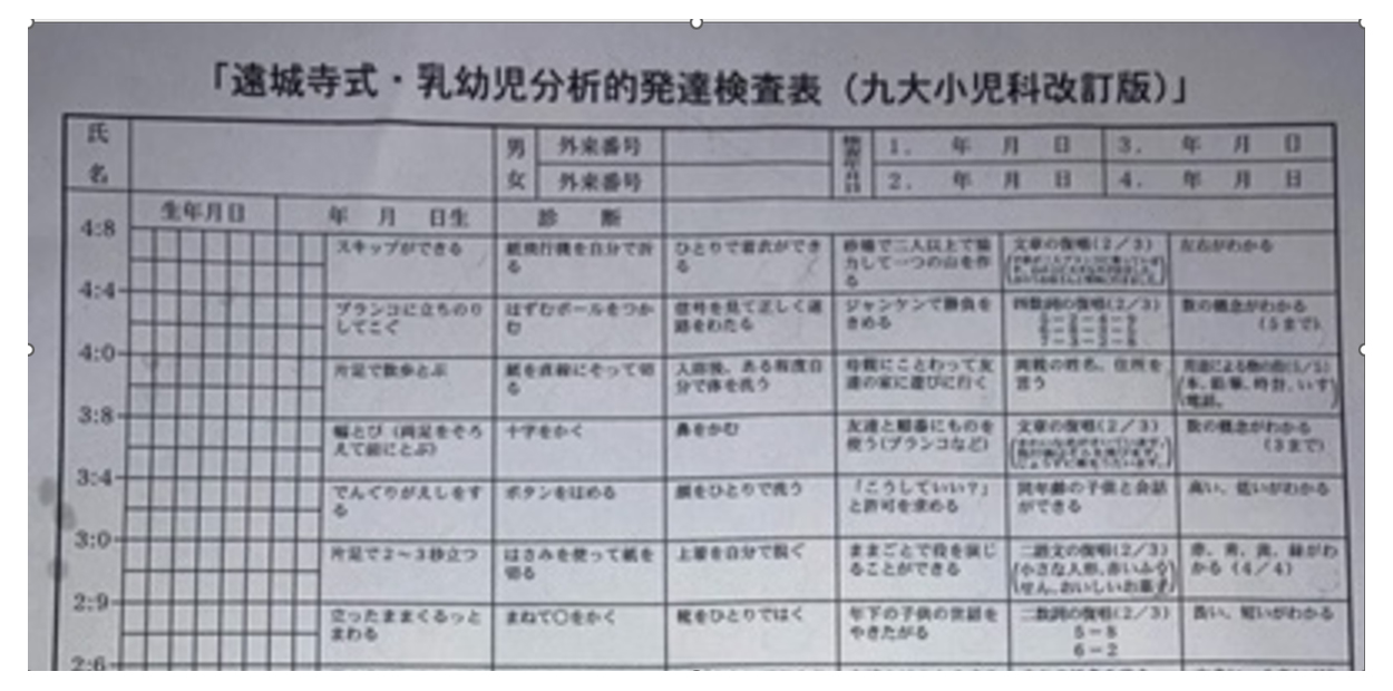 公認心理師による　発達検査（個別）　新版K式、WISC